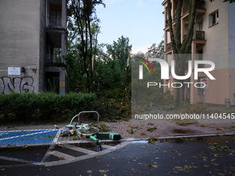 Fallen trees are being seen in the Mokotow district after an overnight storm is hitting Warsaw, Poland, on July 13, 2024. (