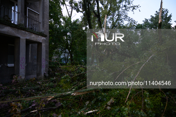 Fallen trees are being seen in the Mokotow district after an overnight storm is hitting Warsaw, Poland, on July 13, 2024. 