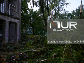 Fallen trees are being seen in the Mokotow district after an overnight storm is hitting Warsaw, Poland, on July 13, 2024. (