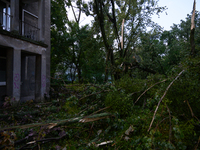 Fallen trees are being seen in the Mokotow district after an overnight storm is hitting Warsaw, Poland, on July 13, 2024. (