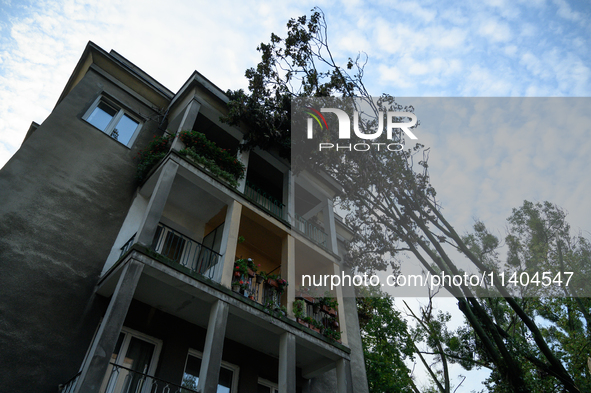 A fallen tree is leaning on a residential building in the Mokotow district after an overnight storm is hitting Warsaw, Poland, on July 13, 2...