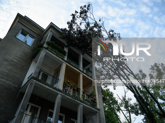 A fallen tree is leaning on a residential building in the Mokotow district after an overnight storm is hitting Warsaw, Poland, on July 13, 2...