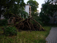 An eradicated tree is being pictured in the Mokotow district after an overnight storm is hitting Warsaw, Poland, on July 13, 2024. (