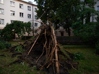 An eradicated tree is being pictured in the Mokotow district after an overnight storm is hitting Warsaw, Poland, on July 13, 2024. (