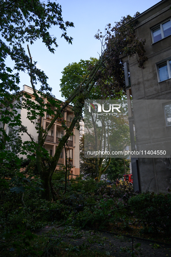 A fallen tree is leaning on a residential building in the Mokotow district after an overnight storm is hitting Warsaw, Poland, on July 13, 2...