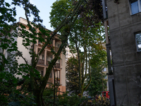 A fallen tree is leaning on a residential building in the Mokotow district after an overnight storm is hitting Warsaw, Poland, on July 13, 2...