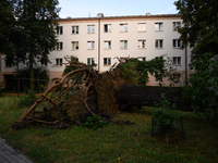 An eradicated tree is being pictured in the Mokotow district after an overnight storm is hitting Warsaw, Poland, on July 13, 2024. (