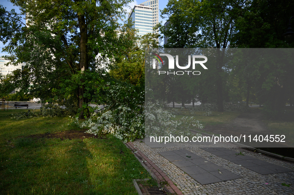 Branches are laying on a sidewalk in the city center after an overnight storm is hitting Warsaw, Poland, on July 13, 2024. 