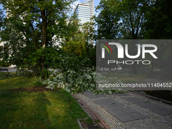 Branches are laying on a sidewalk in the city center after an overnight storm is hitting Warsaw, Poland, on July 13, 2024. (