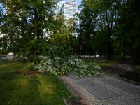 Branches are laying on a sidewalk in the city center after an overnight storm is hitting Warsaw, Poland, on July 13, 2024. (