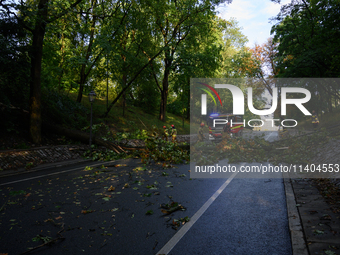 Firefighters are removing fallen trees in the Srodmiescie district after an overnight storm in Warsaw, Poland, on July 13, 2024. (