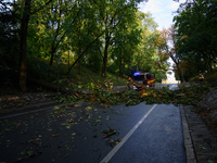 Firefighters are removing fallen trees in the Srodmiescie district after an overnight storm in Warsaw, Poland, on July 13, 2024. (