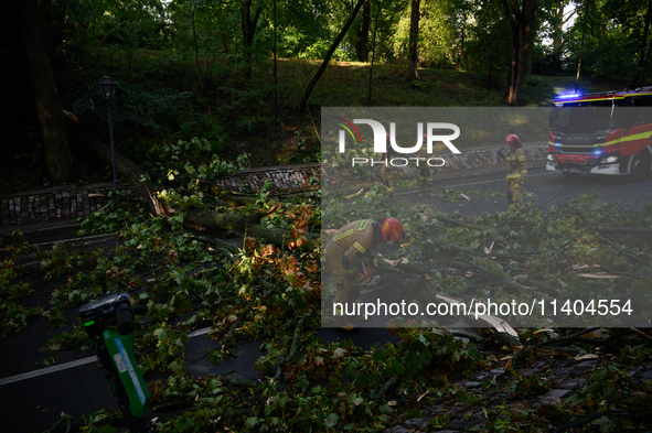 Firefighters are removing fallen trees in the Srodmiescie district after an overnight storm in Warsaw, Poland, on July 13, 2024. 