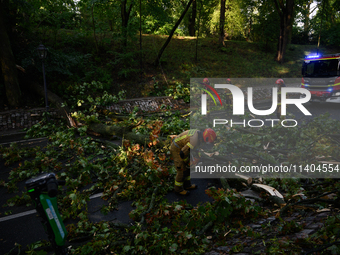 Firefighters are removing fallen trees in the Srodmiescie district after an overnight storm in Warsaw, Poland, on July 13, 2024. (