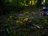 Firefighters are removing fallen trees in the Srodmiescie district after an overnight storm in Warsaw, Poland, on July 13, 2024. (