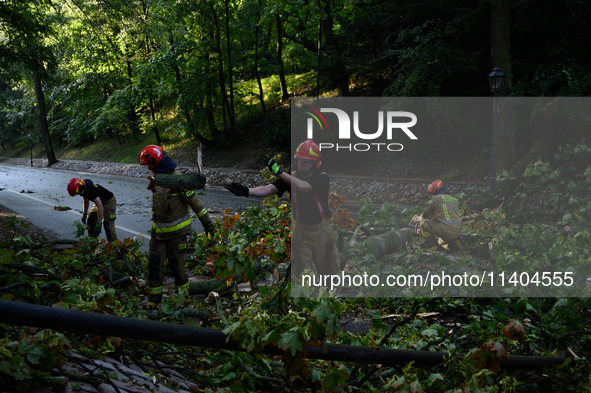 Firefighters are removing fallen trees in the Srodmiescie district after an overnight storm in Warsaw, Poland, on July 13, 2024. 