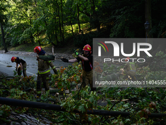 Firefighters are removing fallen trees in the Srodmiescie district after an overnight storm in Warsaw, Poland, on July 13, 2024. (