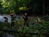 Firefighters are removing fallen trees in the Srodmiescie district after an overnight storm in Warsaw, Poland, on July 13, 2024. (