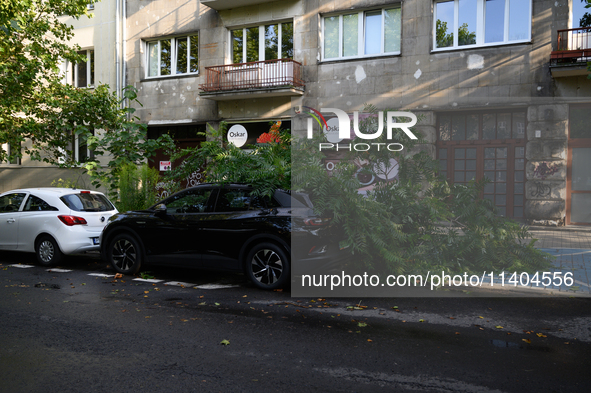 A small tree is falling on a car in the Mokotow district after an overnight storm is hitting Warsaw, Poland, on July 13, 2024. 