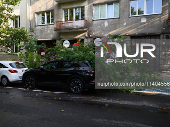 A small tree is falling on a car in the Mokotow district after an overnight storm is hitting Warsaw, Poland, on July 13, 2024. (