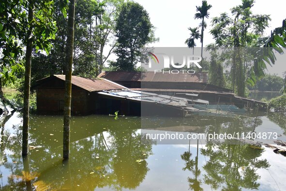 A house is being partially submerged after heavy rains in Nagaon District of Assam, India, on July 13, 2024. 