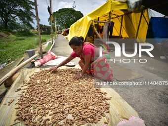 A woman is drying her turmeric on a road in Nagaon District of Assam, India, on July 13, 2024. (