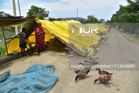 Flood-affected people are staying near their makeshift shelter in Nagaon District of Assam, India, on July 13, 2024. 