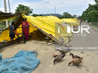 Flood-affected people are staying near their makeshift shelter in Nagaon District of Assam, India, on July 13, 2024. (