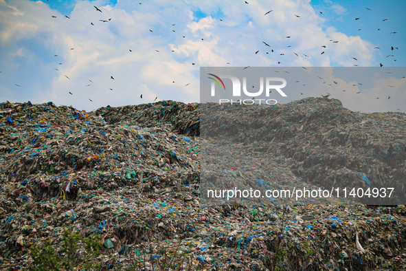 Heaps of garbage are being seen at an open garbage dumping site in Srinagar, Jammu and Kashmir, on July 13, 2024. The improper disposal of w...