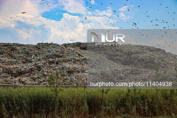 Heaps of garbage are being seen at an open garbage dumping site in Srinagar, Jammu and Kashmir, on July 13, 2024. The improper disposal of w...