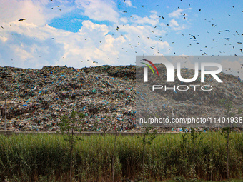 Heaps of garbage are being seen at an open garbage dumping site in Srinagar, Jammu and Kashmir, on July 13, 2024. The improper disposal of w...