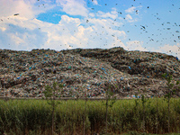 Heaps of garbage are being seen at an open garbage dumping site in Srinagar, Jammu and Kashmir, on July 13, 2024. The improper disposal of w...