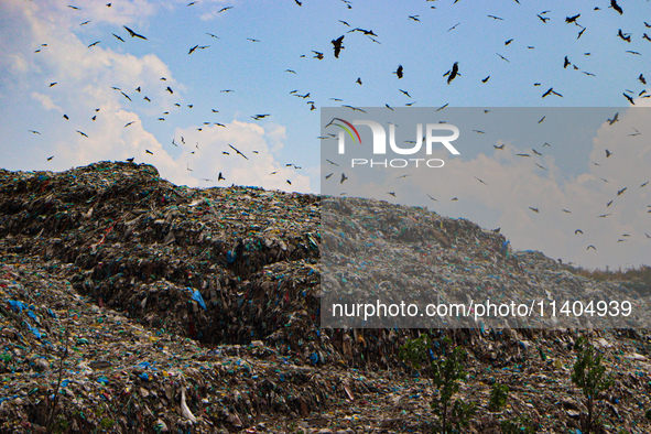 Heaps of garbage are being seen at an open garbage dumping site in Srinagar, Jammu and Kashmir, on July 13, 2024. The improper disposal of w...