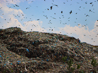 Heaps of garbage are being seen at an open garbage dumping site in Srinagar, Jammu and Kashmir, on July 13, 2024. The improper disposal of w...