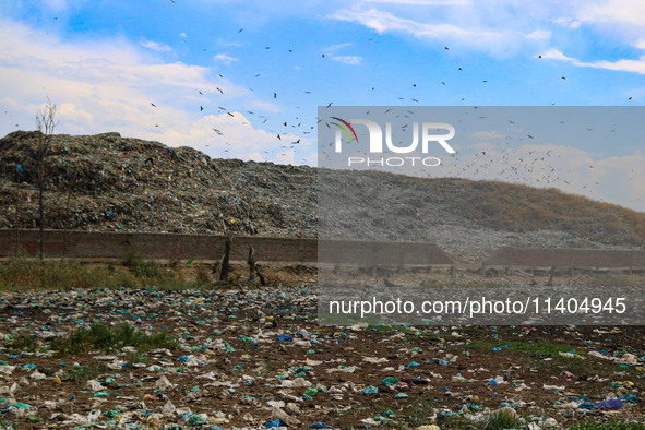 Heaps of garbage are being seen at an open garbage dumping site in Srinagar, Jammu and Kashmir, on July 13, 2024. The improper disposal of w...