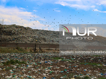 Heaps of garbage are being seen at an open garbage dumping site in Srinagar, Jammu and Kashmir, on July 13, 2024. The improper disposal of w...