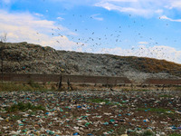 Heaps of garbage are being seen at an open garbage dumping site in Srinagar, Jammu and Kashmir, on July 13, 2024. The improper disposal of w...