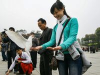 Visitors are feeding a white pigeon at the square of Lingshan Temple in Wuxi, China. (