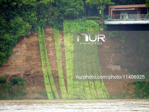 A landslide is occurring near the viewing platform of Mojishan Park on the banks of the Yangtze River in Yichang, Hubei province, China, on...