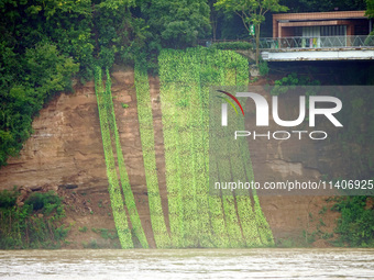 A landslide is occurring near the viewing platform of Mojishan Park on the banks of the Yangtze River in Yichang, Hubei province, China, on...