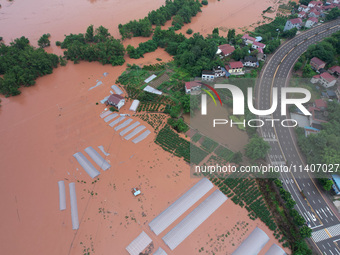 Farmland is flooding along the Xiaoqinglong River at Gaoqiao Street in Neijiang, China, on July 14, 2024. (