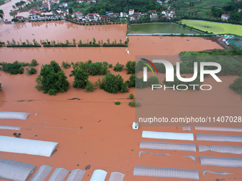 Farmland is flooding along the Xiaoqinglong River at Gaoqiao Street in Neijiang, China, on July 14, 2024. (