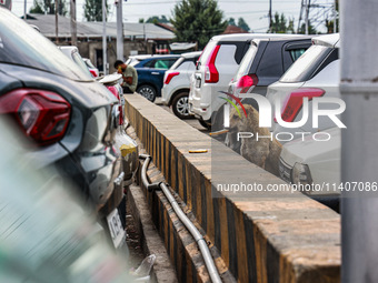 Stray dogs are eating bread from a car parking area in Srinagar, Jammu and Kashmir, India, on July 14, 2024. (