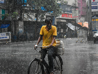 A person is riding his cycle during the heavy rain in Kolkata, India, on July 14, 2024. (