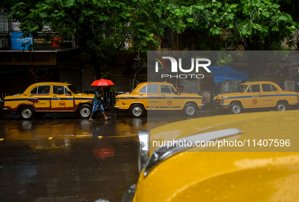 A person is holding an umbrella while walking on a street during the rainy weather in Kolkata, India, on July 14, 2024. 