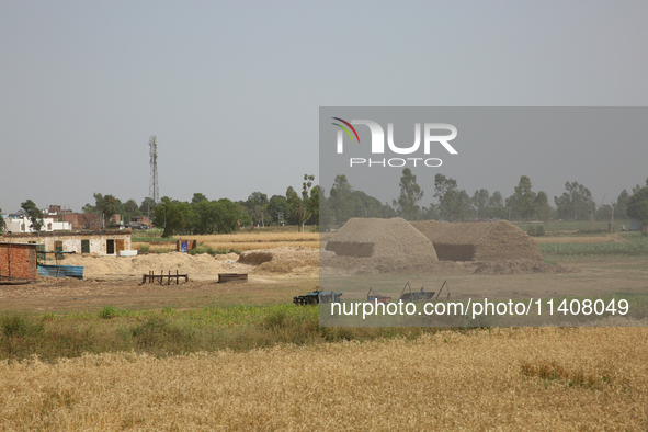 Farmland is being seen following wheat harvesting in Najibabad, Uttar Pradesh, India, on April 19, 2024. 