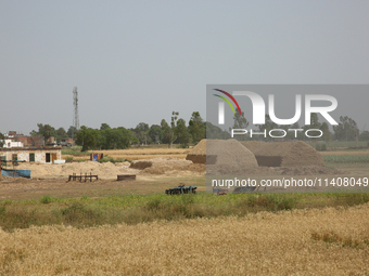 Farmland is being seen following wheat harvesting in Najibabad, Uttar Pradesh, India, on April 19, 2024. (