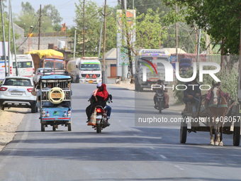 People are traveling by horse cart along a road in Najibabad, Uttar Pradesh, India, on April 19, 2024. (