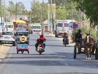 People are traveling by horse cart along a road in Najibabad, Uttar Pradesh, India, on April 19, 2024. (