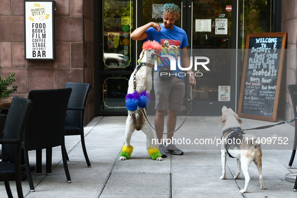 A man plays with a dog in Washington, DC in the United States of America on July 9th, 2024. 